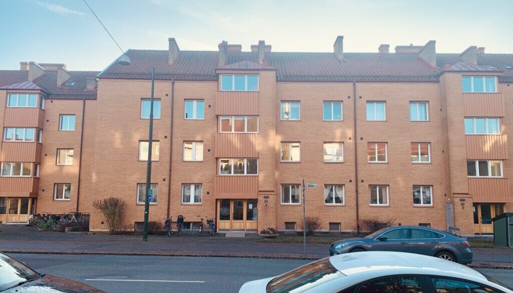 Tore den store